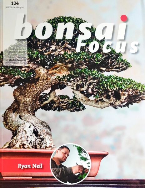 Fachzeitschrift "Bonsai Focus", Ausgabe 104