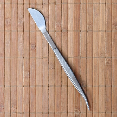 Pinzette mit Spatel, 210 mm, Edelstahl