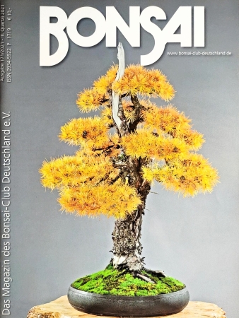 Bonsai Clubheft, Ausgabe 3-2021