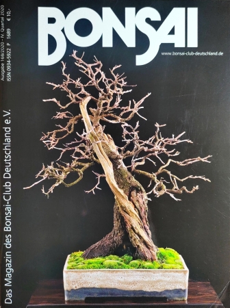 Bonsai Clubheft, Ausgabe 4-2020