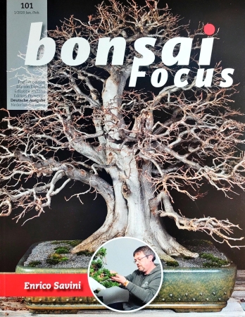 Fachzeitschrift "Bonsai Focus", Ausgabe 101
