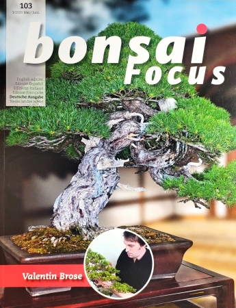 Fachzeitschrift "Bonsai Focus", Ausgabe 103